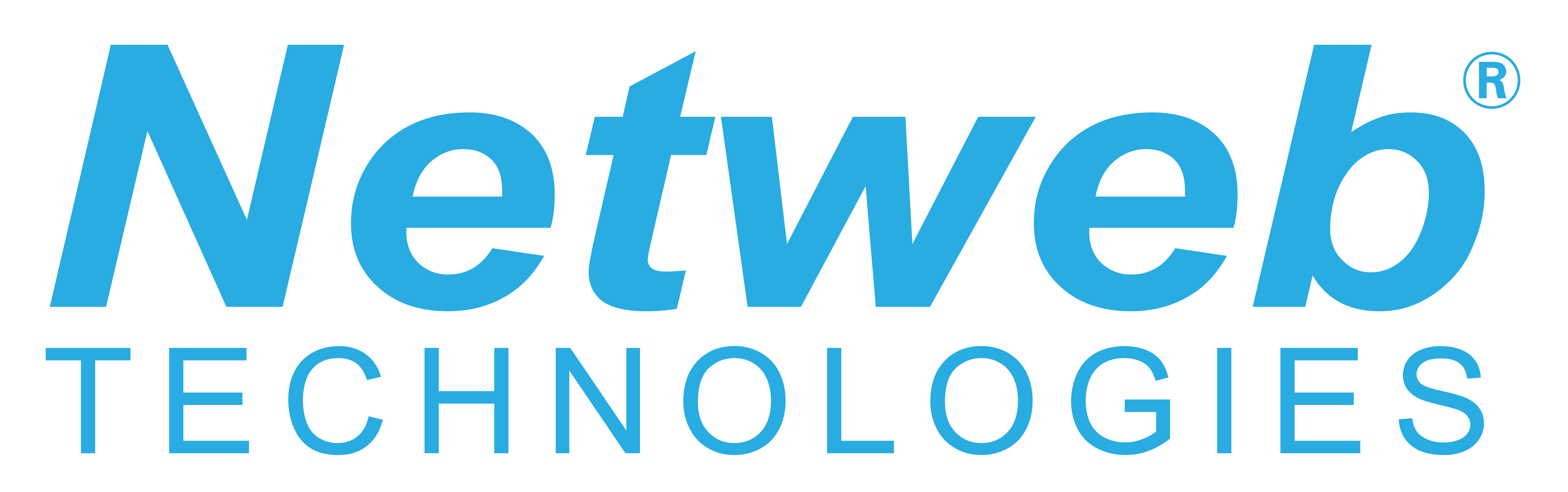 Netweb Technologies logo